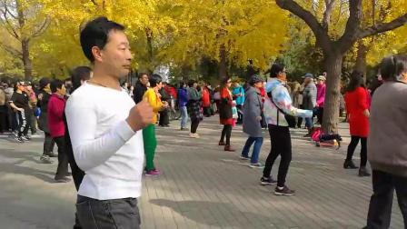 陶然亭广场舞十六步《一晃就老了》
