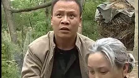 梨园春 民间小调 刘晓燕《儿子成人忘了娘》娘的心都伤透了下载