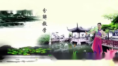 刘荣广场舞队形版《太湖美》下载