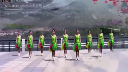刘荣广场舞排舞《舞动中国》附正反面口下载