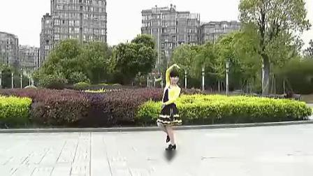 动动广场舞 《梦中的唐古拉》 背面示范下载
