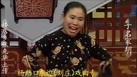 河南坠子《恶媳妇打婆婆》全集 胡银花