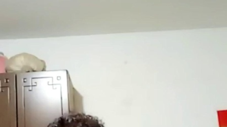 河南坠子《王员外休妻》赵素荣