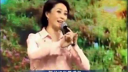 眉户《屠夫状元银灯结彩花成双》张蓓演唱