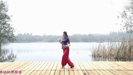 张春丽广场舞 《九儿》 教学版