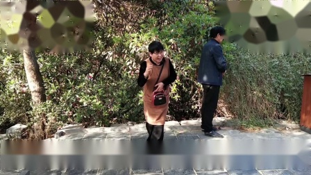 豫剧《三更生死缘》选段 演唱 王秀英 吕建