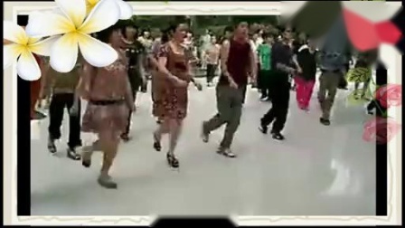 美久广场舞《吉特巴》 20步 美女热舞下载