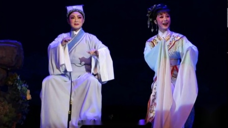 越剧《追鱼》李旭丹 杨婷娜下载