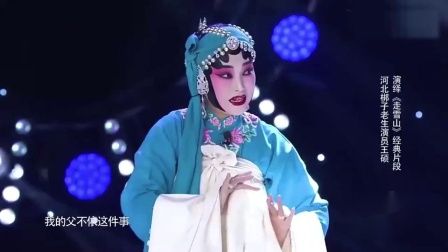 河北梆子《走雪山》经典片段 老生王硕演绎下载