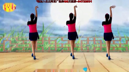 阿采广场舞《白富美和高富帅》 编舞楠楠下载