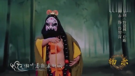 梨园春 杨赤京剧《野猪林》选段 懒听暮鼓晨