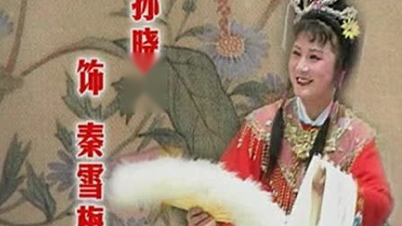 庐剧《秦雪梅观画》孙晓云 昂小红下载