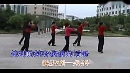 周思萍广场舞《姑娘我爱你》下载