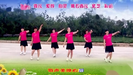 葛石香儿广场舞《凤凰飞》迪斯科广场舞24步