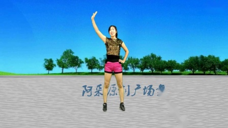 阿采广场舞《疯狂爱一回》下载