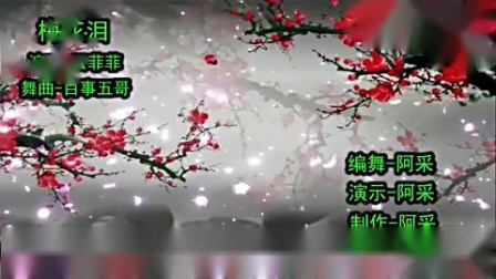 阿采广场舞原创《梅花泪》下载