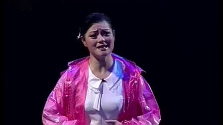沪剧《寻娘记 风雨寻娘》王珊妹 程臻下载