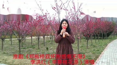 淮剧《郑板桥叙怀抱感慨无限》季洪红（羊寨桃