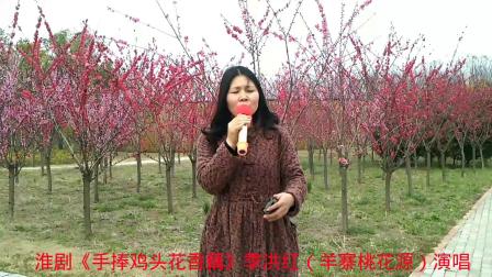 淮剧《手捧鸡头花香藕》季洪红（羊寨桃花源）演唱