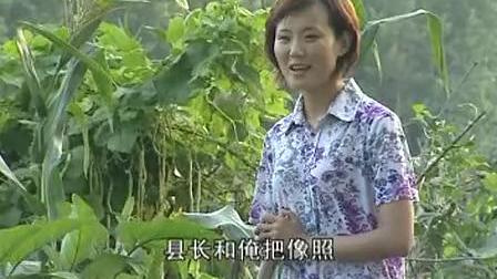 沂蒙小调《逃跑的新娘》04下载