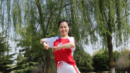 云裳广场舞《floorfiller》沚水老师零基础步子舞 紫灵飞梦广场舞演示下载