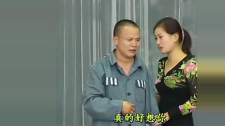 民间小调《真的好想你》选段 刘晓燕演唱 就是好听下载