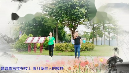 学跳云裳广场舞《月亮的味道》下载