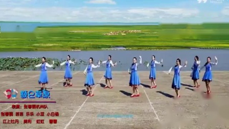 张春丽广场舞《额仑草原》杭州团队版