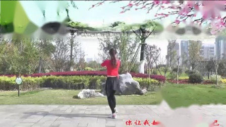 动动广场舞 《特别的爱给特别的你》 背面下载
