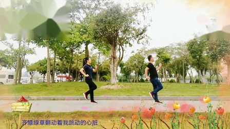 云裳广场舞《我站在高高的山岗上》下载