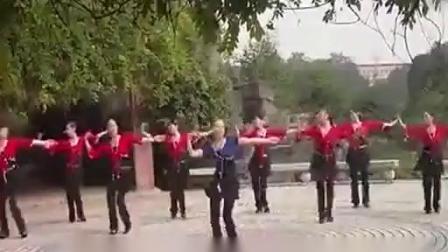 动动广场舞 《康定情歌》 云裳广场舞广场舞下载