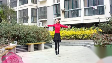 青儿广场舞 《红尘情歌》 黑鸭子下载