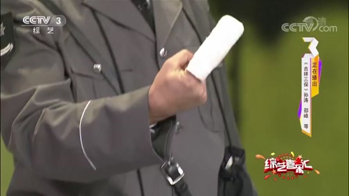《综艺喜乐汇》 20190519 平凡的情感下载