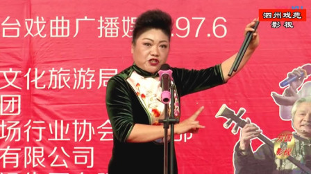 河南坠子《杨宗保点兵》 马街书会书状元 牛
