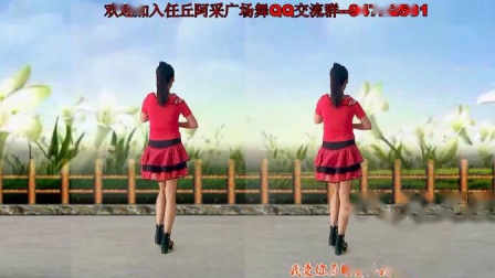 最新广场舞DJ《为何要伤我的心》阿采广场舞原创29  含分解和背面演示下载