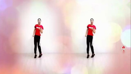 金灿灿广场舞 《灰姑娘》 32步 背面下载