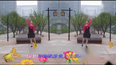 金灿灿广场舞《蝶恋花》下载