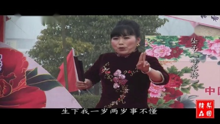 河南坠子《呼家将》选场 胡银花演唱