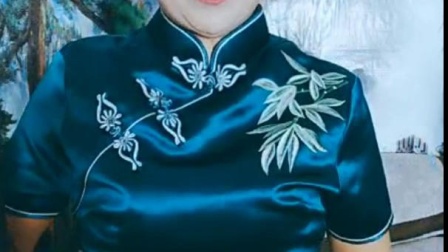 河南坠子《瞎胡诌》胡银花演唱