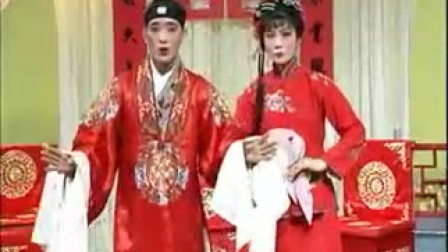 庐剧《红杏出墙》魏小波 王小兰 汪莉下载
