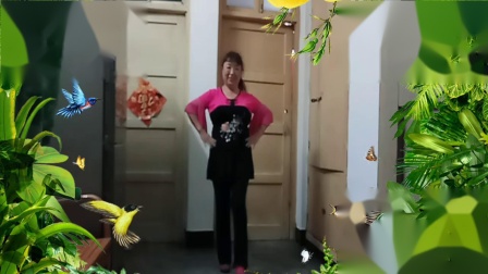 广场舞《雨中泪》编舞惠汝下载