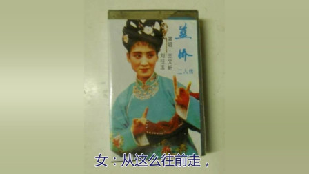 《蓝桥》王文轩 刘桂玉 老艺人二人转字幕版下载