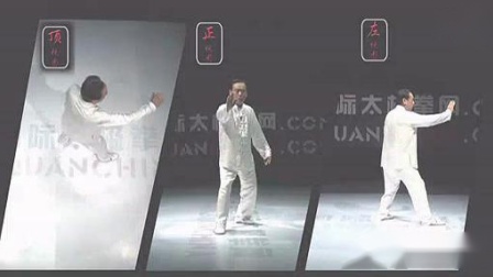 杨式太极拳 基本功法（赵幼斌）下载