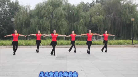 云裳广场舞《最炫民族风》步调一致动感优美排舞 云裳团队出品下载