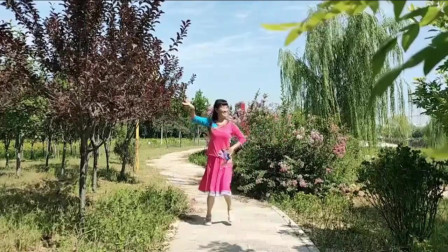 云裳广场舞《桃花笑》沚水老师原创欢快俏皮广场舞 学习广场舞版下载