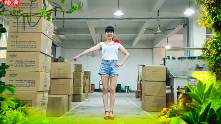 迪斯科广场舞《花花宇宙dj》先分解再演示 