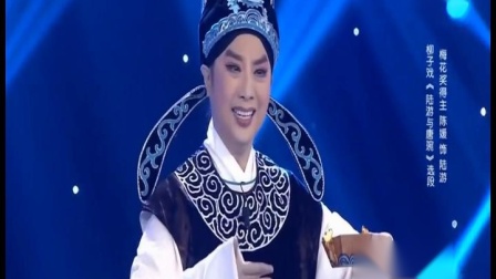 柳子戏  陈媛 《陆游与唐婉》伶人王中王第4