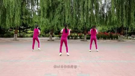 云裳广场舞《NONONO》梅子老师编舞摆胯流行舞附分解下载