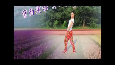 美久广场舞《 东北东北》 背面教学分解下载