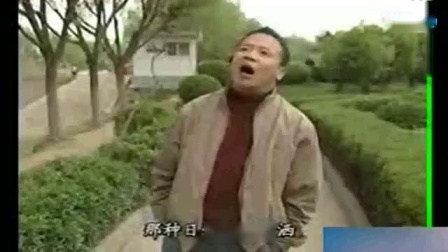 008安徽民间小调《花心的悲剧》刘晓燕主演下载